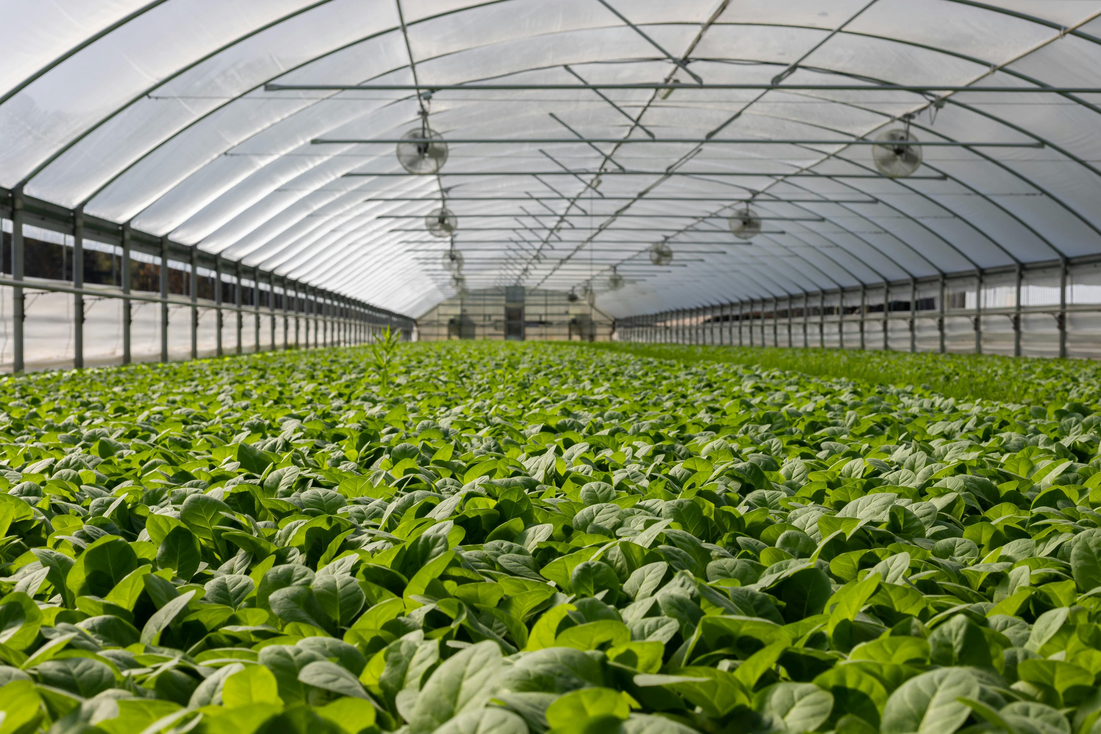 About PRABHA Agritech