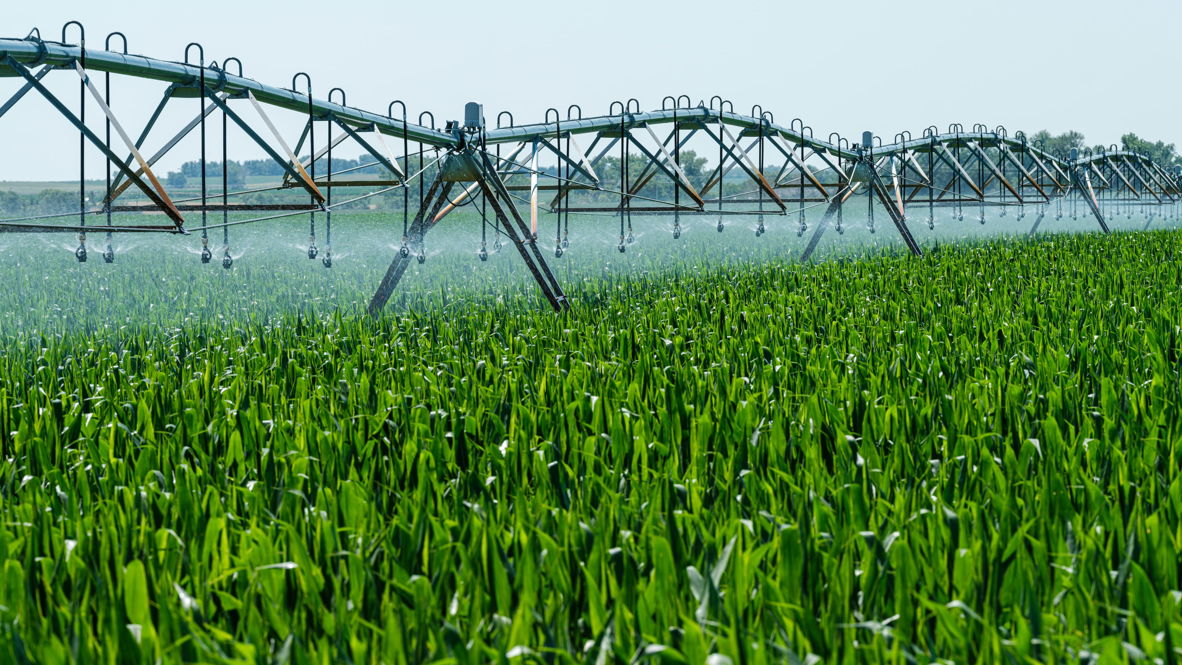 Empowering Farmers with Technology