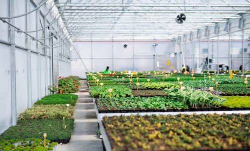 Transform Your Rooftop into a Productive Garden