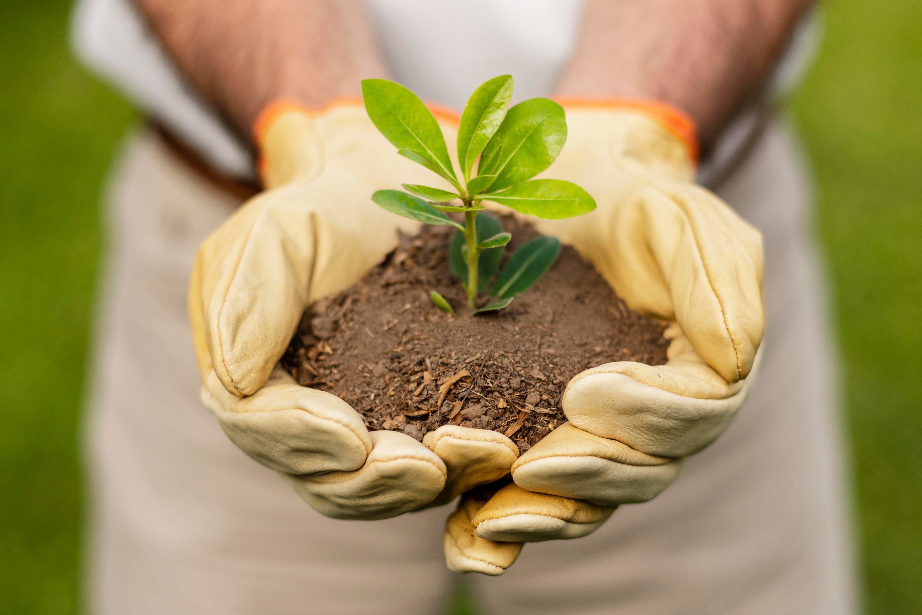 Sustainable Farming Techniques for Modern Agriculture
