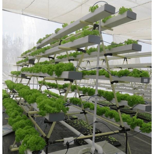 A-Frame Hydroponic System