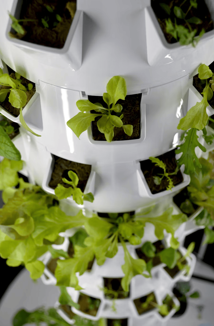 Hydroponics