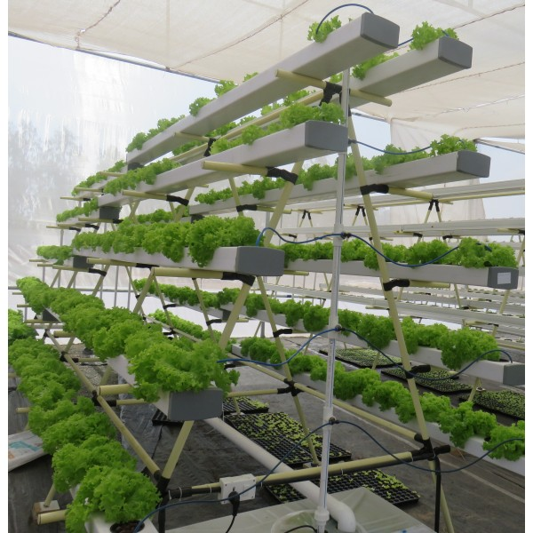 A-Frame Hydroponic System